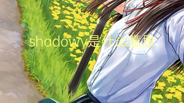 shadowy是什么意思 shadowy的翻译、读音、例句、中文解释