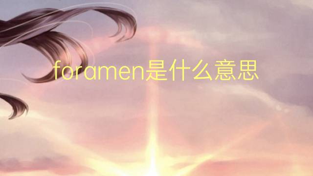 foramen是什么意思 foramen的翻译、读音、例句、中文解释