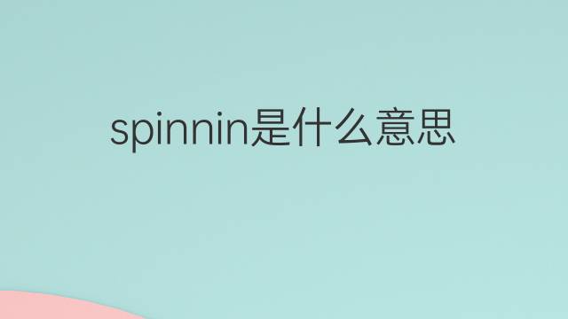 spinnin是什么意思 spinnin的翻译、读音、例句、中文解释