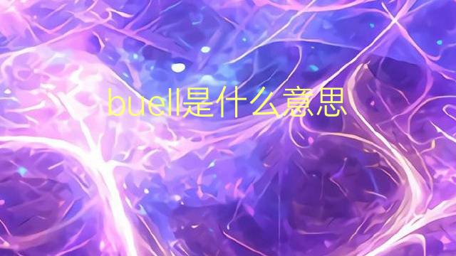 buell是什么意思 buell的翻译、读音、例句、中文解释