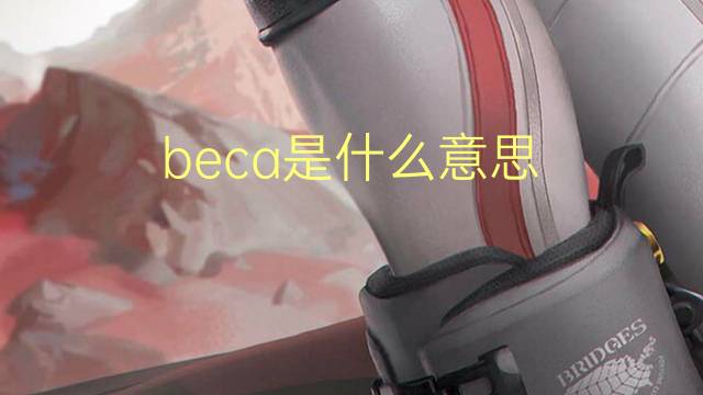 beca是什么意思 beca的翻译、读音、例句、中文解释