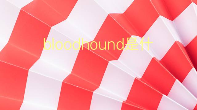 bloodhound是什么意思 bloodhound的翻译、读音、例句、中文解释