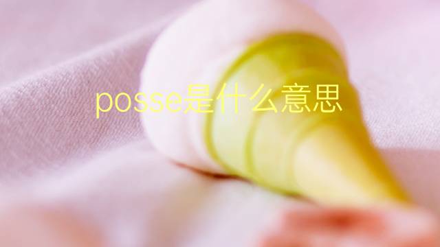 posse是什么意思 posse的翻译、读音、例句、中文解释