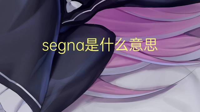 segna是什么意思 segna的翻译、读音、例句、中文解释