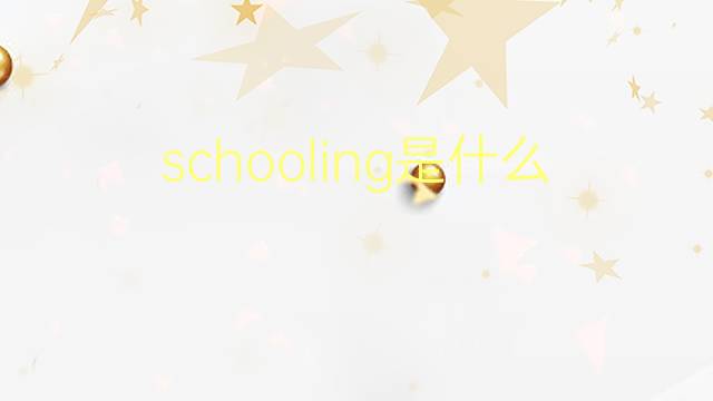 schooling是什么意思 schooling的翻译、读音、例句、中文解释