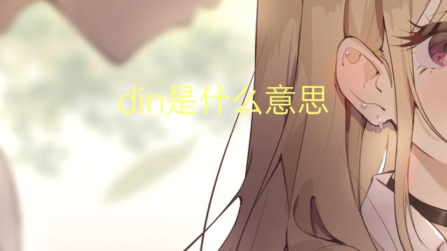 din是什么意思 din的翻译、读音、例句、中文解释