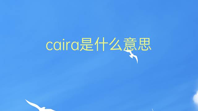 caira是什么意思 caira的翻译、读音、例句、中文解释