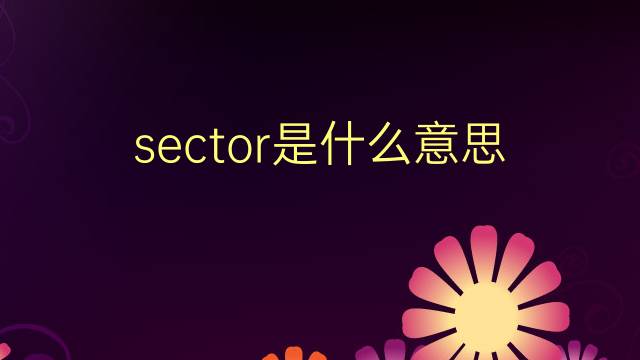 sector是什么意思 sector的翻译、读音、例句、中文解释