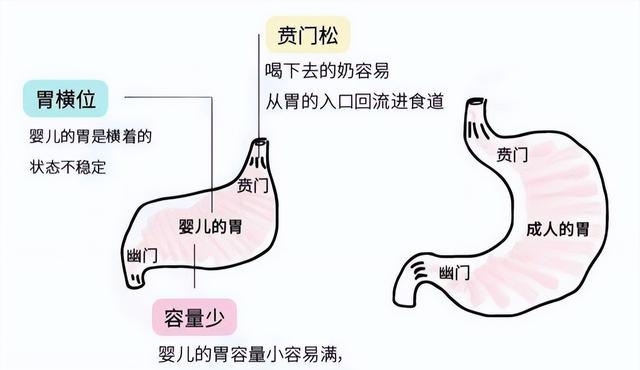 新生婴儿吐奶怎么解决（教你正确应对和预防）