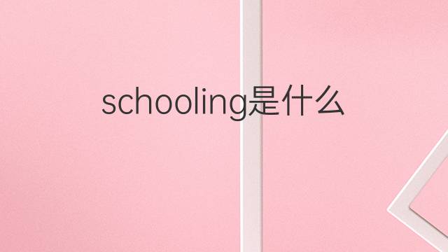 schooling是什么意思 schooling的翻译、读音、例句、中文解释