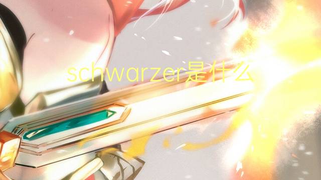 schwarzer是什么意思 schwarzer的翻译、读音、例句、中文解释