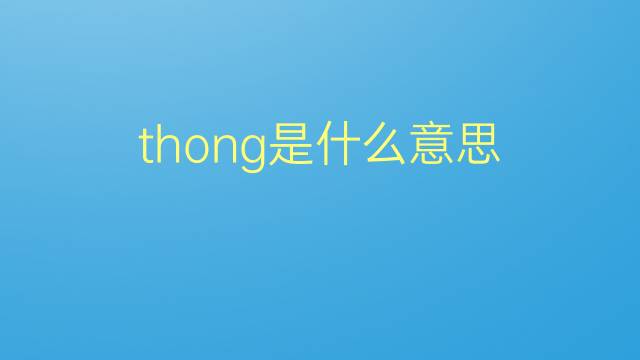 thong是什么意思 thong的翻译、读音、例句、中文解释