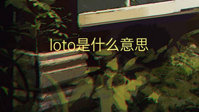 loto是什么意思 loto的翻译、读音、例句、中文解释