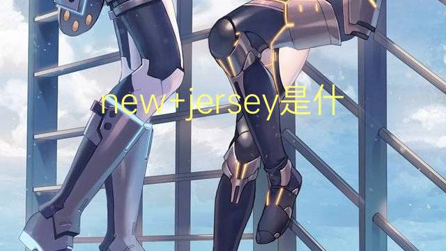 new+jersey是什么意思 new+jersey的翻译、读音、例句、中文解释