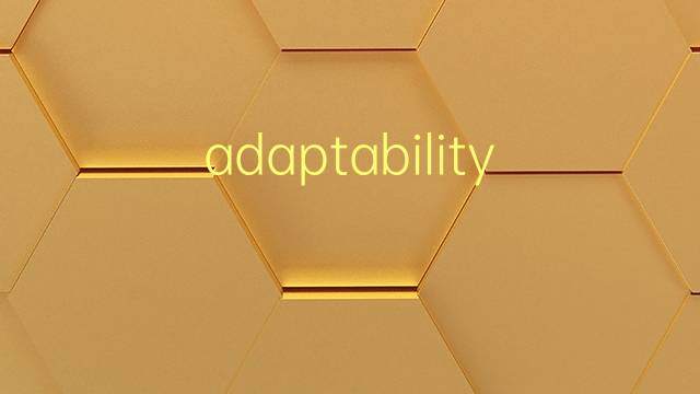 adaptability是什么意思 adaptability的翻译、读音、例句、中文解释