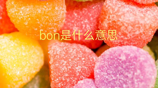 bon是什么意思 bon的翻译、读音、例句、中文解释