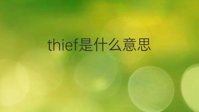 thief是什么意思 thief的翻译、读音、例句、中文解释