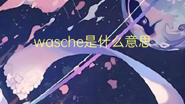 wasche是什么意思 wasche的翻译、读音、例句、中文解释