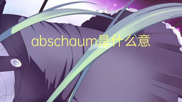 abschaum是什么意思 abschaum的翻译、读音、例句、中文解释