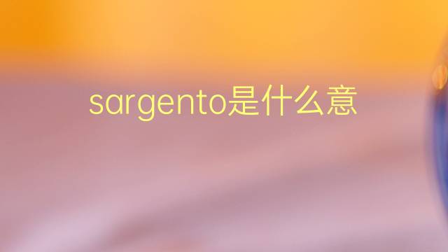 sargento是什么意思 sargento的翻译、读音、例句、中文解释