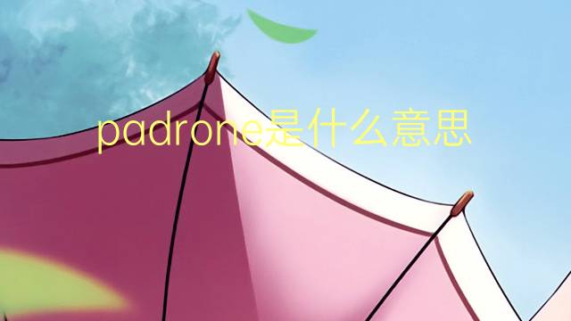 padrone是什么意思 padrone的翻译、读音、例句、中文解释