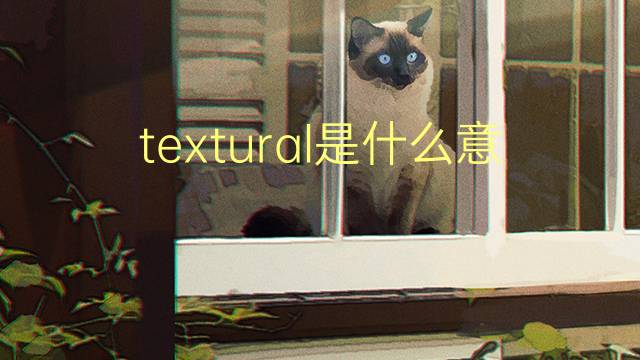 textural是什么意思 textural的翻译、读音、例句、中文解释