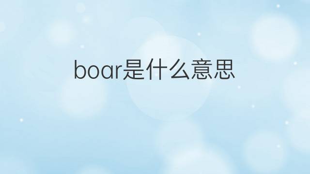 boar是什么意思 boar的翻译、读音、例句、中文解释