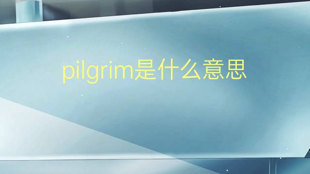 pilgrim是什么意思 pilgrim的翻译、读音、例句、中文解释