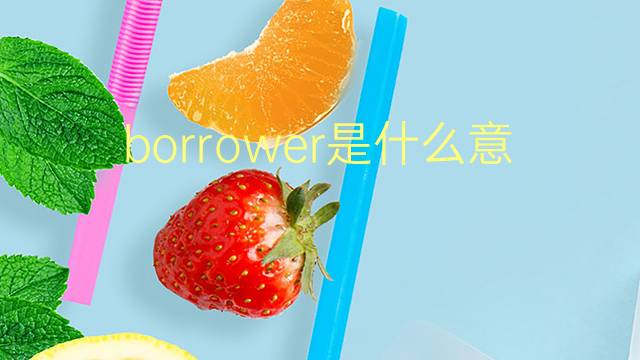 borrower是什么意思 borrower的翻译、读音、例句、中文解释