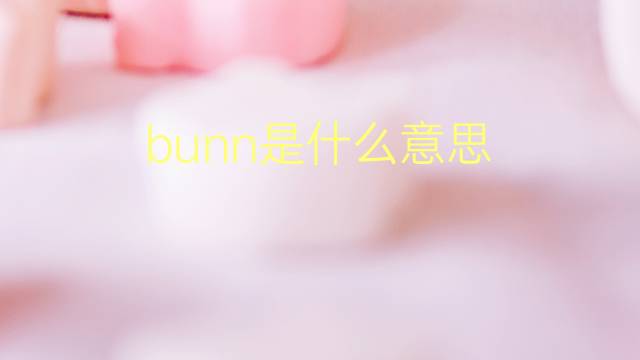 bunn是什么意思 英文名bunn的翻译、发音、来源