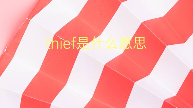 thief是什么意思 thief的翻译、读音、例句、中文解释