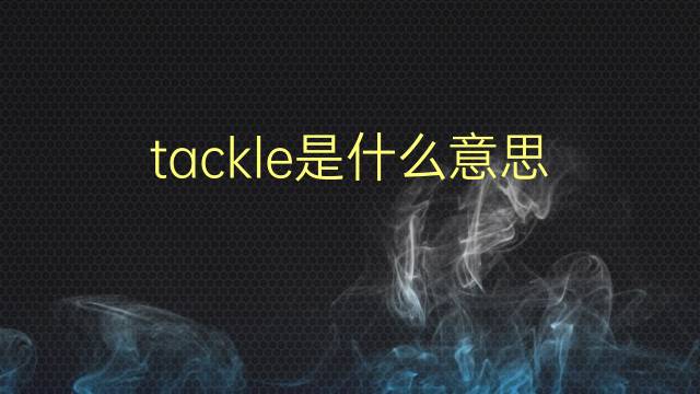 tackle是什么意思 tackle的翻译、读音、例句、中文解释