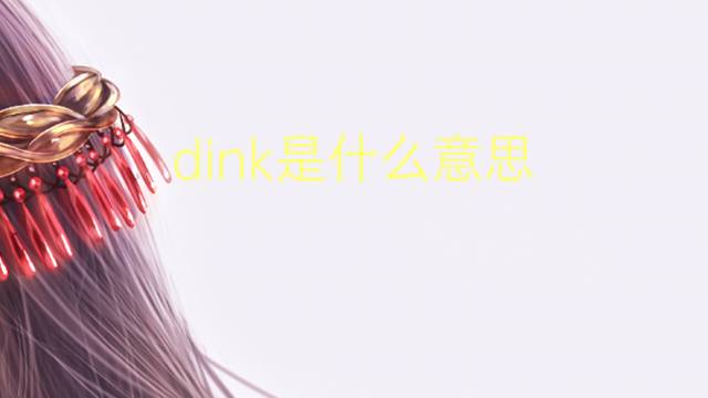 dink是什么意思 dink的翻译、读音、例句、中文解释