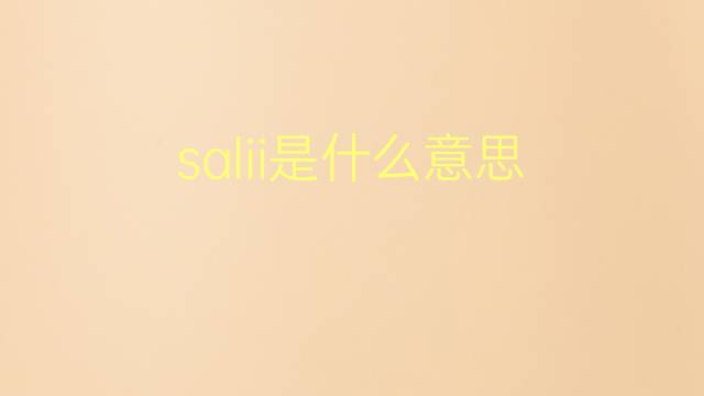 salii是什么意思 salii的翻译、读音、例句、中文解释