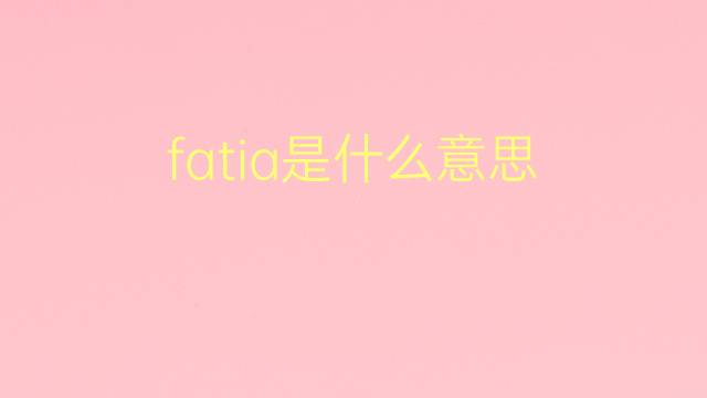 fatia是什么意思 fatia的翻译、读音、例句、中文解释