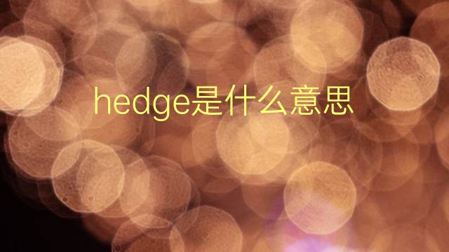 hedge是什么意思 hedge的翻译、读音、例句、中文解释