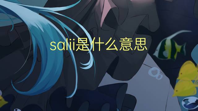 salii是什么意思 salii的翻译、读音、例句、中文解释