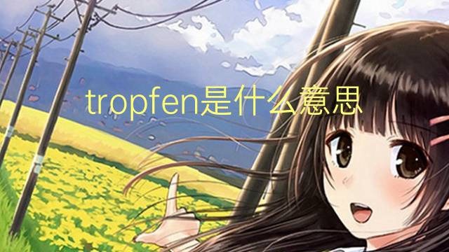 tropfen是什么意思 tropfen的翻译、读音、例句、中文解释