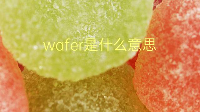 wafer是什么意思 wafer的翻译、读音、例句、中文解释