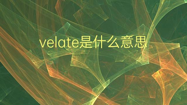 velate是什么意思 velate的翻译、读音、例句、中文解释