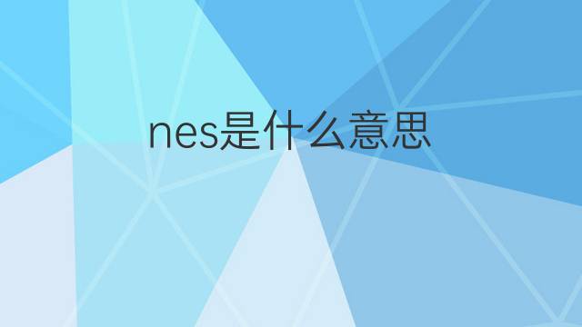 nes是什么意思 nes的翻译、读音、例句、中文解释