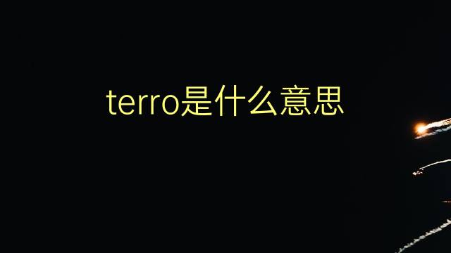 terro是什么意思 terro的翻译、读音、例句、中文解释