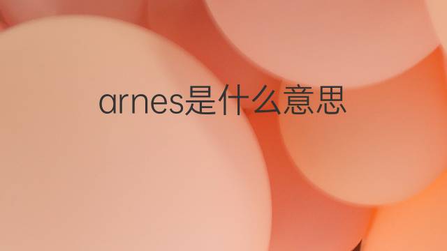 arnes是什么意思 arnes的翻译、读音、例句、中文解释