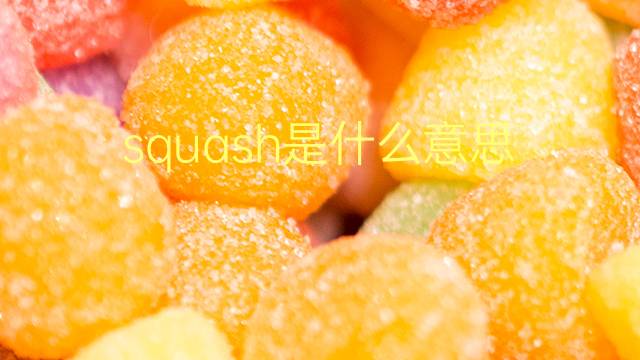 squash是什么意思 squash的翻译、读音、例句、中文解释