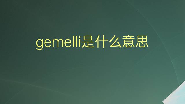 gemelli是什么意思 gemelli的翻译、读音、例句、中文解释