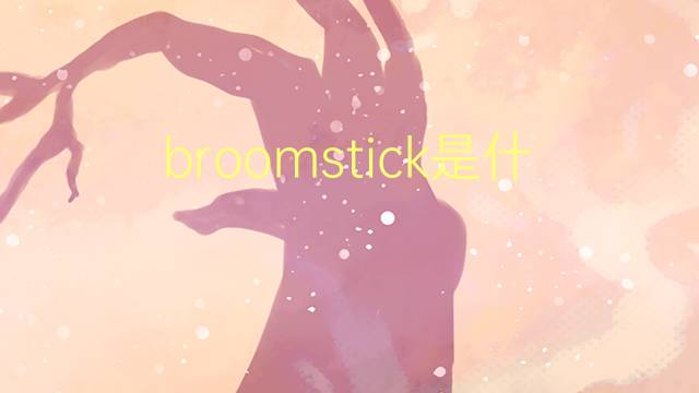 broomstick是什么意思 broomstick的翻译、读音、例句、中文解释