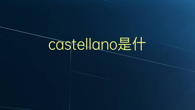 castellano是什么意思 castellano的翻译、读音、例句、中文解释