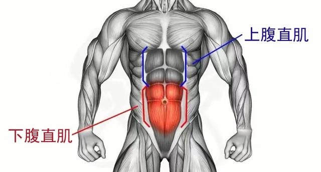 练腹肌最好的方法教程分享（推荐下腹肌的最佳锻炼方法）