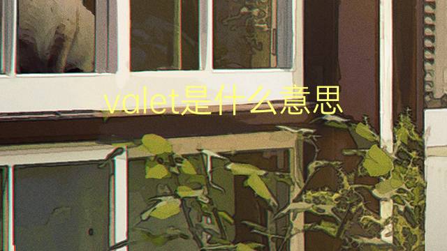 valet是什么意思 valet的翻译、读音、例句、中文解释