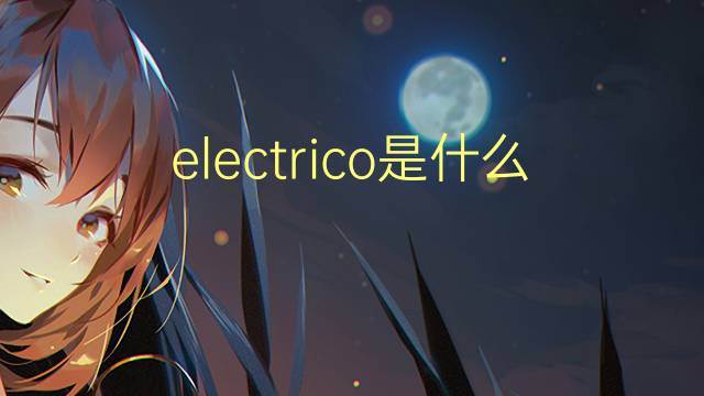 electrico是什么意思 electrico的翻译、读音、例句、中文解释